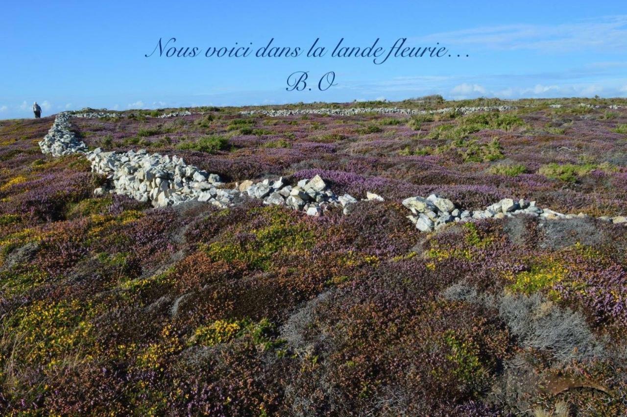 Le Clos Des Agapanthes Plogonnec Экстерьер фото
